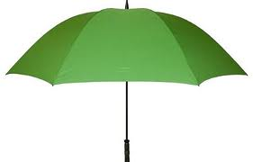 Umbrella Policy Norwood